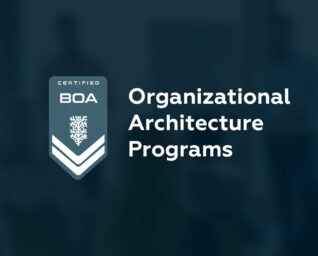 Organizational Architecture Programs