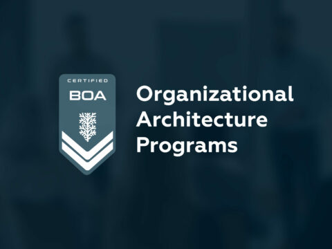Organizational Architecture Programs