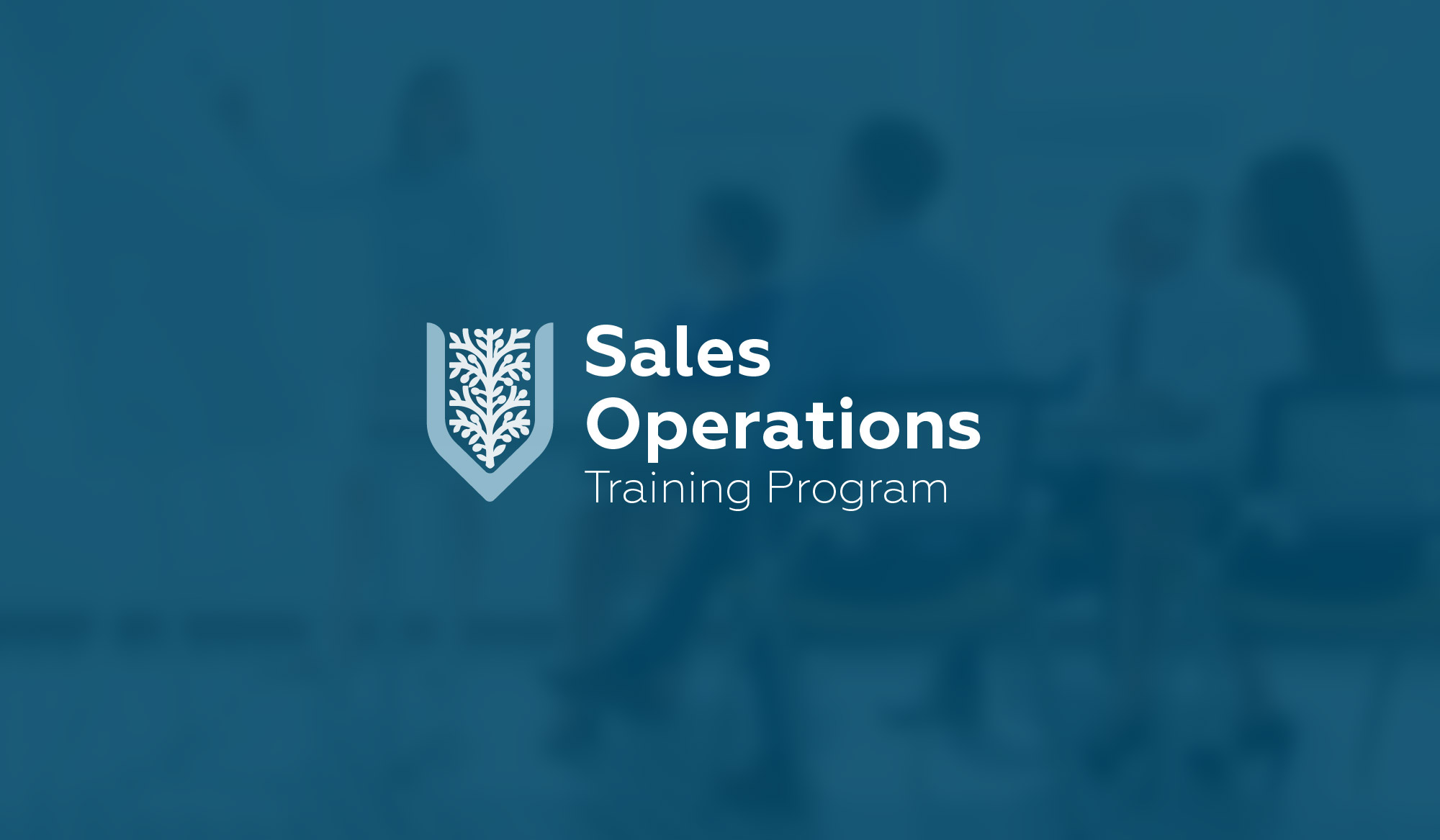 valuetailor programmes-01