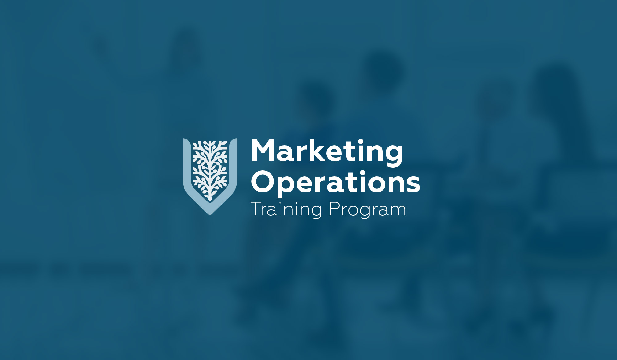 valuetailor programmes-02